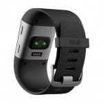 fitbit large back